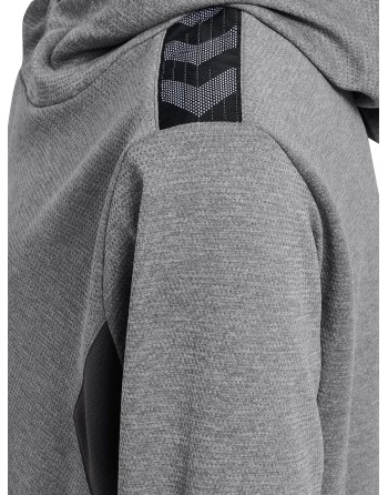 hmlAUTHENTIC PL HOODIE KIDS