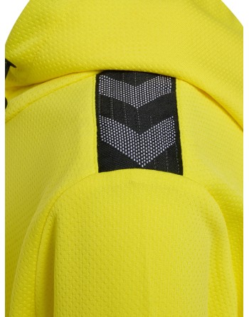 hmlAUTHENTIC PL HOODIE KIDS