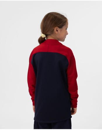 Ziptop Iconic / Polyester-Stretch-Fleece