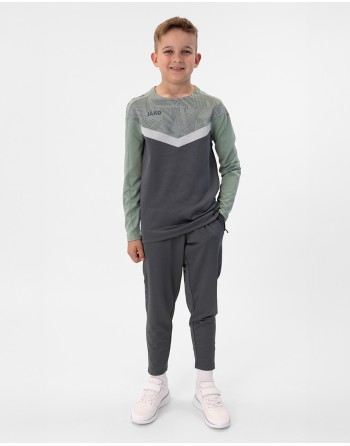 Sweat Iconic / Polyester-Stretch-Fleece